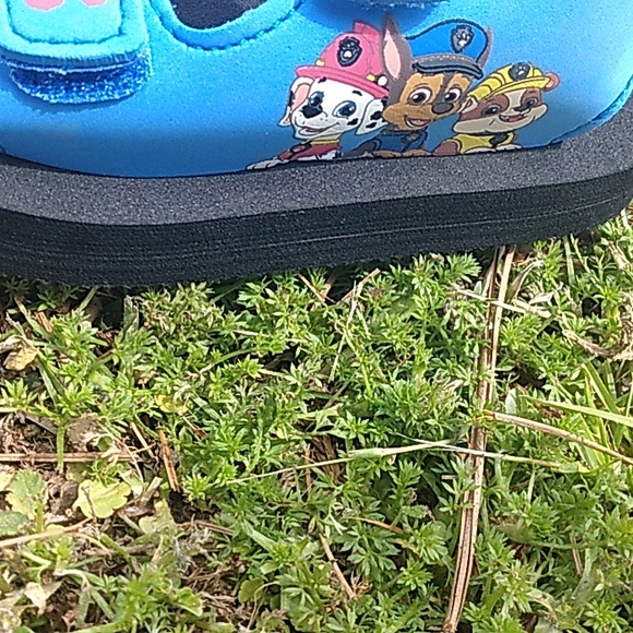 Paw Patrol Boy Sandals - Picture 3 of 7